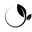 adventurebegins.store favicon